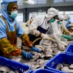 KKP Bekerja Sama dengan Norwegia untuk Tingkatkan Mutu Produk Kelautan dan Perikanan Indonesia