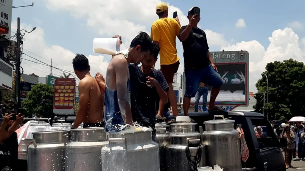 Ternyata Ini Alasan Peternak Sapi di Jateng-Jatim Membuang Susu